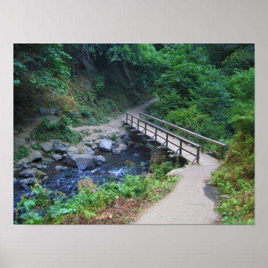 Brug bij Latourell-Herfsten, Oregon Poster (Voorkant)