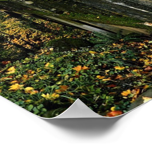 Brug bij Latourell-Herfsten, Oregon Poster (Hoek)