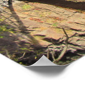 Brug bij Mary Ellen Kramer Great Herfsten Park, NJ Poster (Hoek)