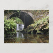 Brug boven de waterval van Torc Briefkaart (Voorkant)