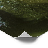 Brug - de Chinese tuin Poster (Hoek)