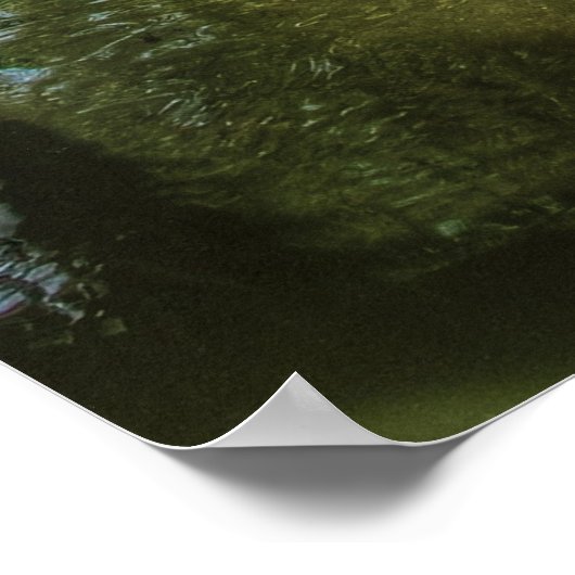 Brug - de Chinese tuin Poster (Hoek)