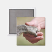 Brug de kloof magneet (Voorkant / Achterkant)