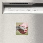 Brug de kloof magneet (Insitu (Vaatwasser))