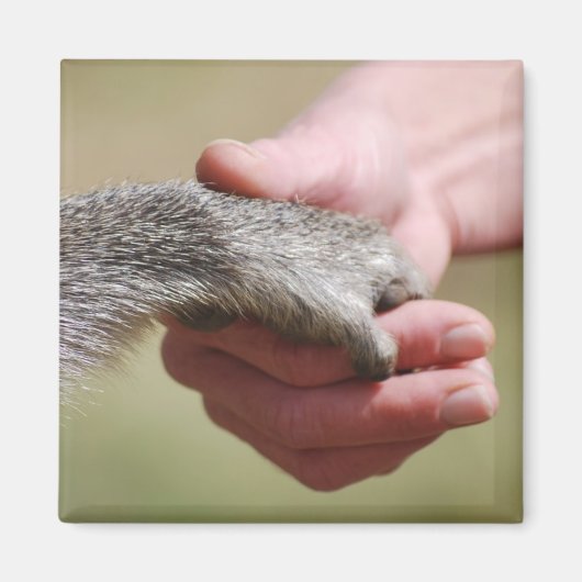 Brug de kloof magneet (Voorkant)