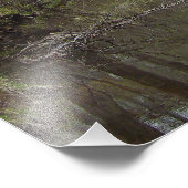 Brug en Herfst van water foto's afdrukken Foto Afdruk (Hoek)