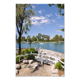 Brug en vijver foto afdruk