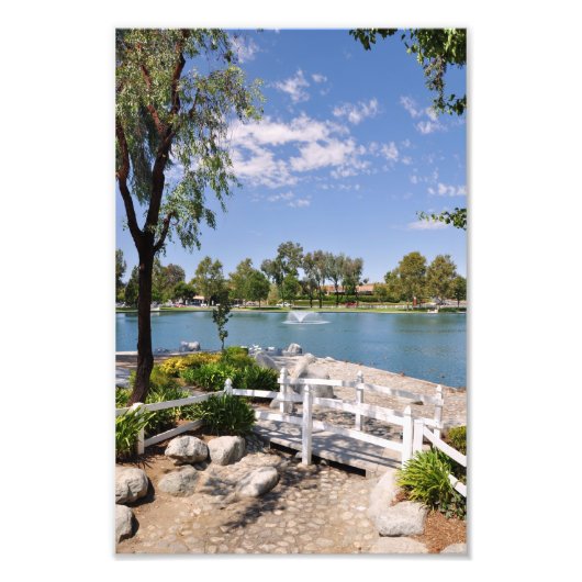 Brug en vijver foto afdruk (Voorkant)