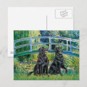 Brug - Flat Coated Retriever (twee) Briefkaart (Voorkant / Achterkant)