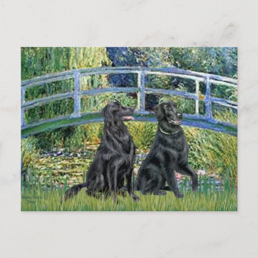 Brug - Flat Coated Retriever (twee) Briefkaart (Voorkant)