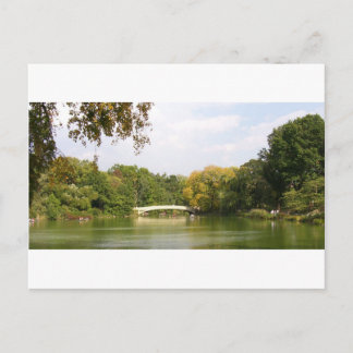 Brug in Central Park, New York City Briefkaart