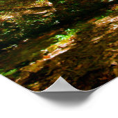 Brug in de Bossen Poster (Hoek)