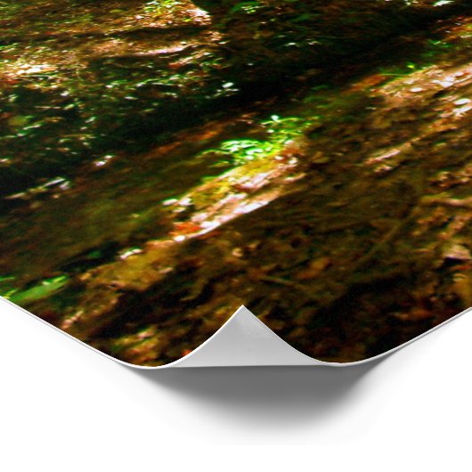 Brug in de Bossen Poster (Hoek)