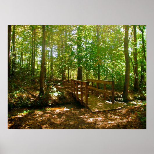 Brug in de Bossen Poster (Voorkant)