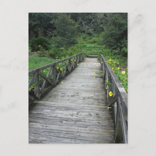 Brug in de tuinen van Bellingrath Briefkaart (Voorkant)