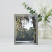 Brug in het Briefkaart Swamps (Staand voorkant)