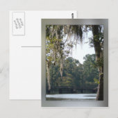 Brug in het Briefkaart Swamps (Voorkant / Achterkant)