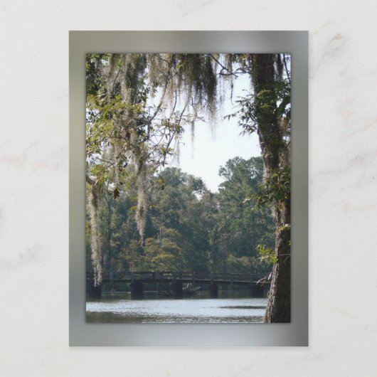Brug in het Briefkaart Swamps (Voorkant)