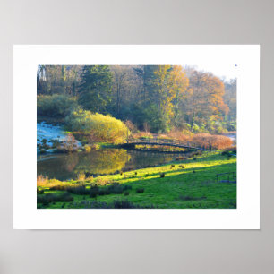 Brug in het landschap poster