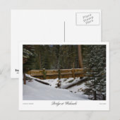 Brug in het Wuksachi-Briefkaart Briefkaart (Voorkant / Achterkant)