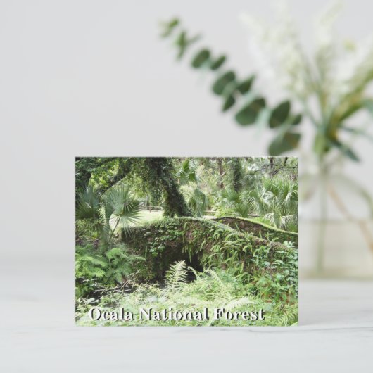 Brug in Ocala National Forest Florida, postkaart (Staand voorkant)