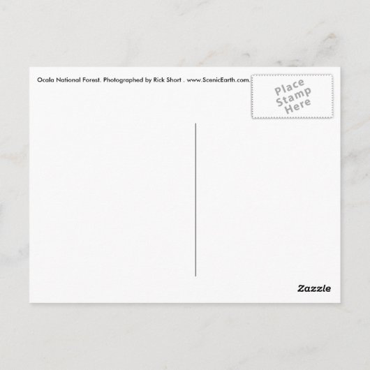 Brug in Ocala National Forest Florida, postkaart (Achterkant)