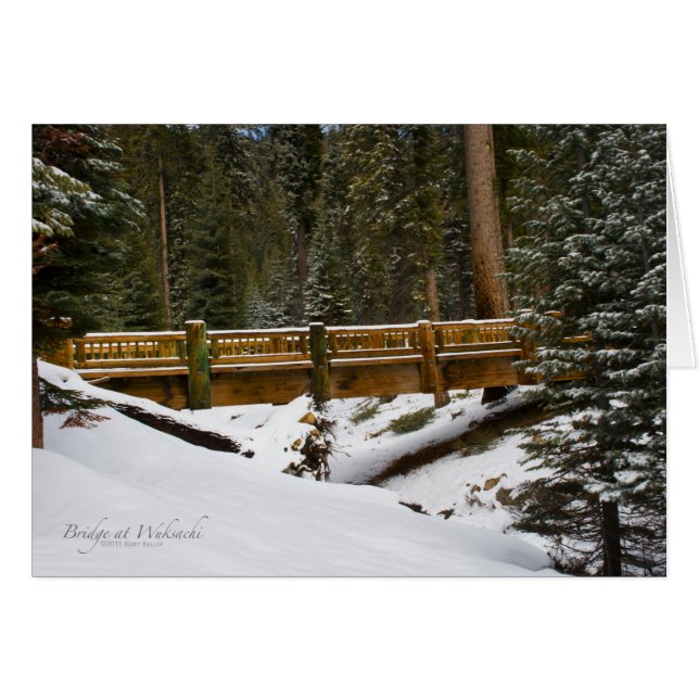 Brug in Wuksachi (Voorkant Horizontaal)