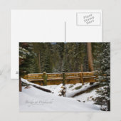 Brug in Wuksachi Briefkaart (Voorkant / Achterkant)