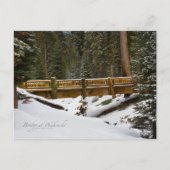 Brug in Wuksachi Briefkaart (Voorkant)