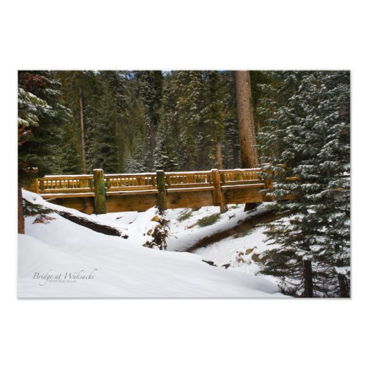 Brug in Wuksachi Foto Afdruk (Voorkant)