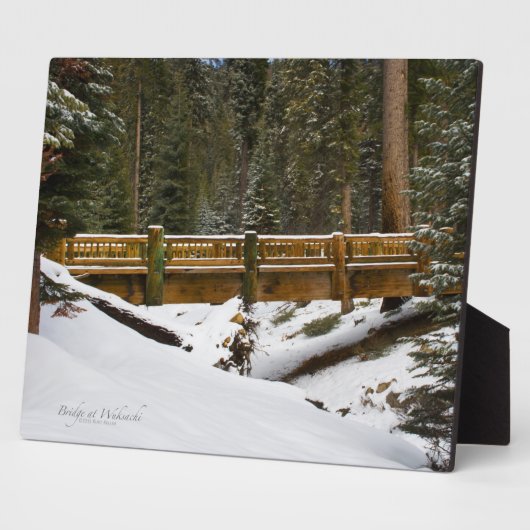 Brug in Wuksachi Fotoplaat (Zijkant)