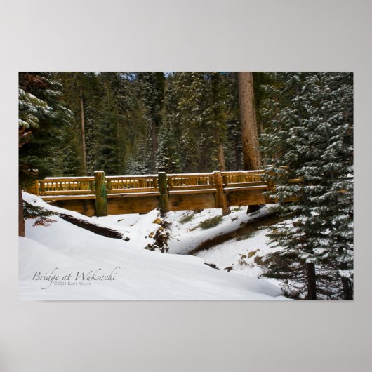 Brug in Wuksachi Poster (Voorkant)