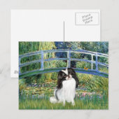 Brug - Japans-Chinese Spaniel 2 Briefkaart (Voorkant / Achterkant)