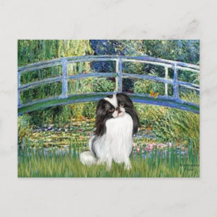 Brug - Japans-Chinese Spaniel 2 Briefkaart