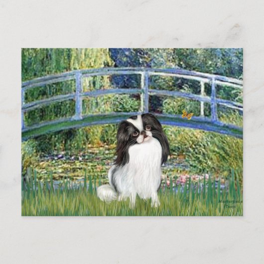 Brug - Japans-Chinese Spaniel 2 Briefkaart (Voorkant)