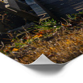 Brug kleuren poster (Hoek)