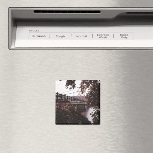 brug magneet (Insitu (Vaatwasser))