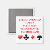 BRUG MAGNEET (Voorkant / Achterkant)