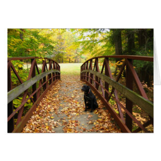 brug met Cole