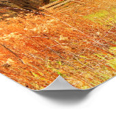 Brug met suikerriet poster (Hoek)