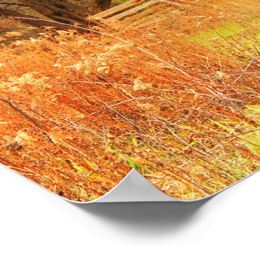 Brug met suikerriet poster (Hoek)