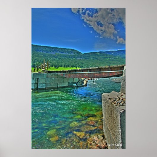 Brug met zoet gras poster (Voorkant)