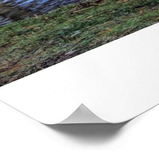 Brug naar nergens poster (Hoek)