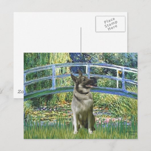 Brug - Noors Elkhound Briefkaart (Voorkant / Achterkant)