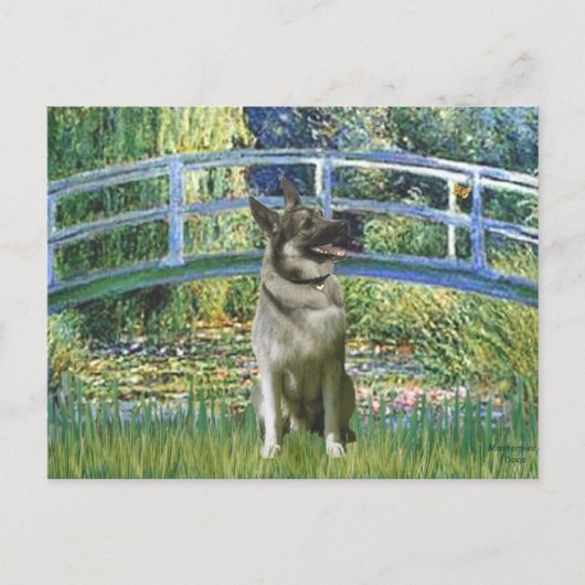 Brug - Noorse elandhond Briefkaart (Voorkant)