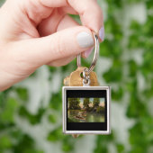 Brug op Belle Isle, Detroit, Michigan  Sleutelhanger (Hand)