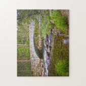 Brug over de mousserende stroom legpuzzel (Verticaal)