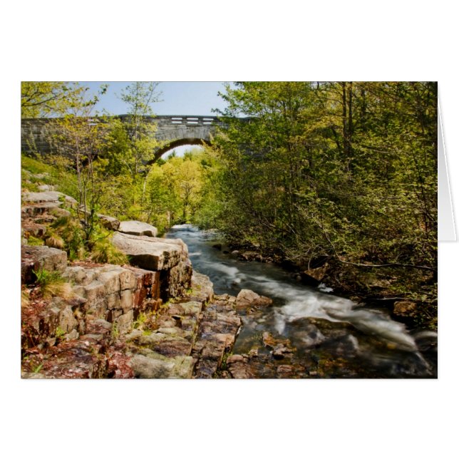 Brug over de rivier (Voorkant Horizontaal)
