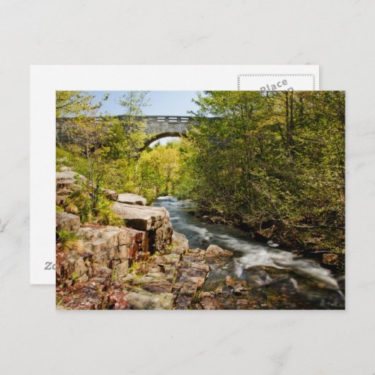 Brug over de rivier briefkaart (Voorkant / Achterkant)