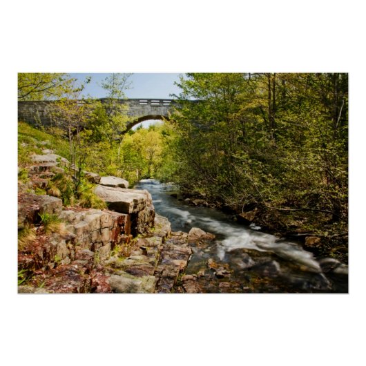 Brug over de rivier poster (Voorkant)